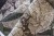 a055cb93140661783ad84b60004153d6