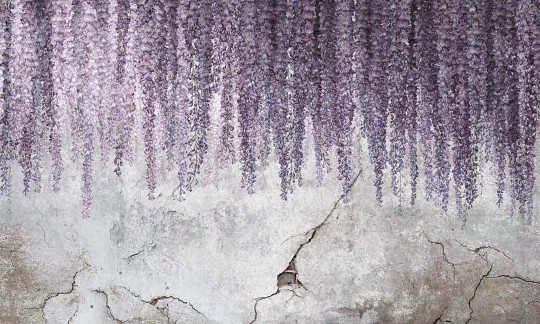 Mural Wonderwall Fleur Scharme 35 0745 07 Wisteria
