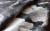 9b9806afe23ce4688b98eab35826e0f2