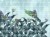 50155d43b85a4ae840cd4f2fa5dcaf5a