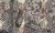 45491de56474c91ff2ec91fef3aeca2c