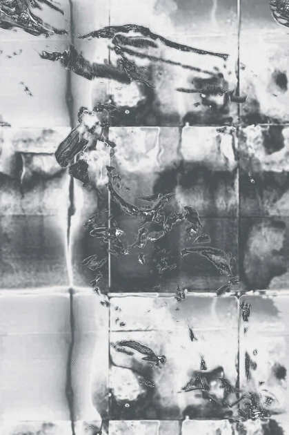 Mural Wall & Deco WET 2020 Lava WET_LA2001