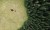 26f0e3ea75b51835fdfecb4eb2ef43ad
