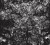 53c7c2fc56541395a789276ed738bfd9