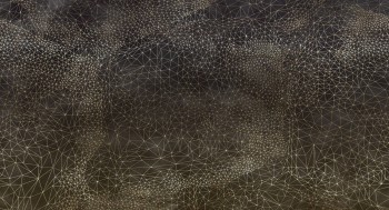 3d2156116d7477ca6438d340d9cb414d