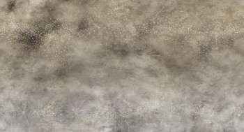 96cfd4d895d3d93152c305c4be96198c