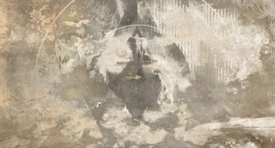 Mural Muance Cosmic wonder MU12105