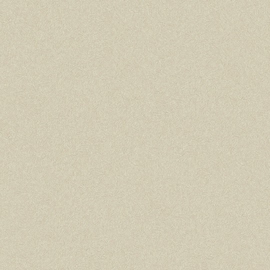 Boras Tapeter 3136 Eastern Simplicity Kyoto Crepe Beige - tapeta imitująca papier w japońskim stylu
