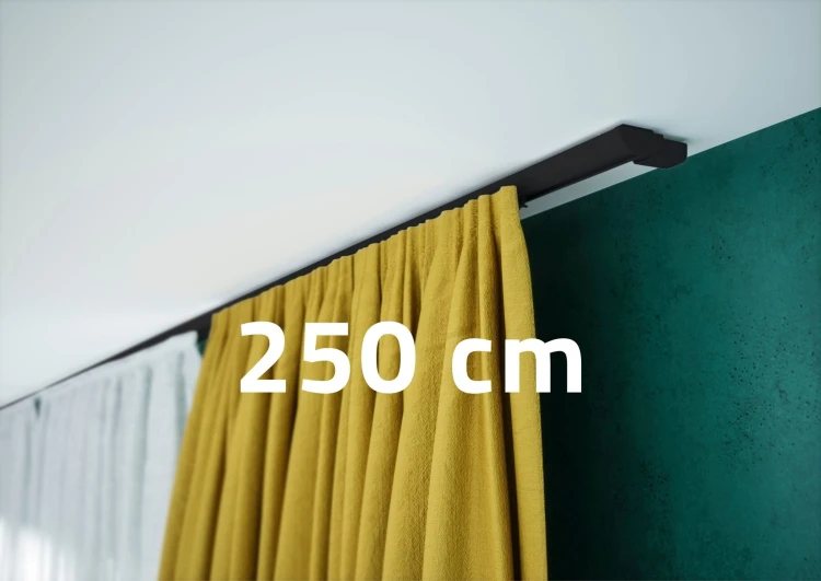 ZD1czarna250.jpg