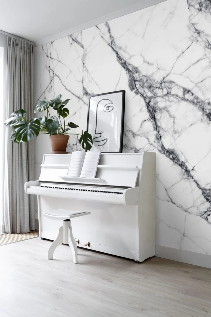 Mural Esta Black & White With A Splash Of Gold 158942 Mural Marble