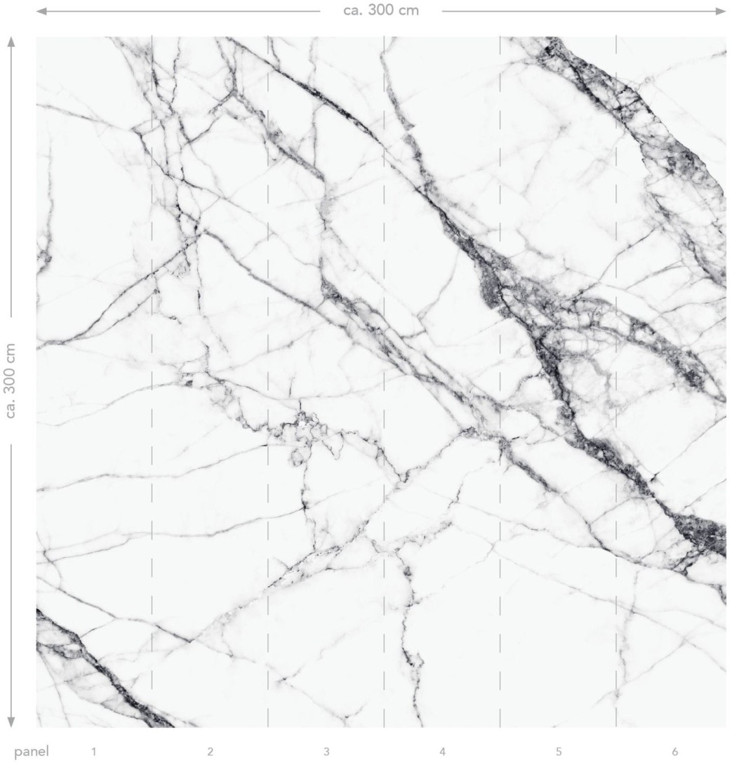 Mural Esta Black & White With A Splash Of Gold 158942 Mural Marble