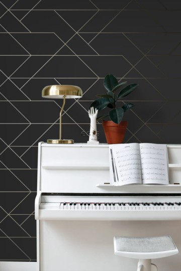 Tapeta Esta Black & White With A Splash Of Gold 139144 Graphic Lines