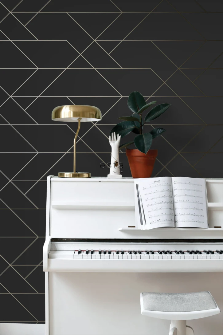 Tapeta Esta Black & White With A Splash Of Gold 139144 Graphic Lines