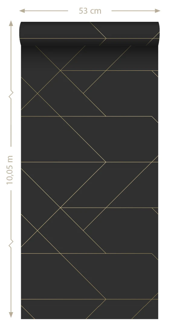 Tapeta Esta Black & White With A Splash Of Gold 139144 Graphic Lines