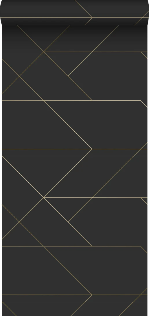 Tapeta Esta Black & White With A Splash Of Gold 139144 Graphic Lines
