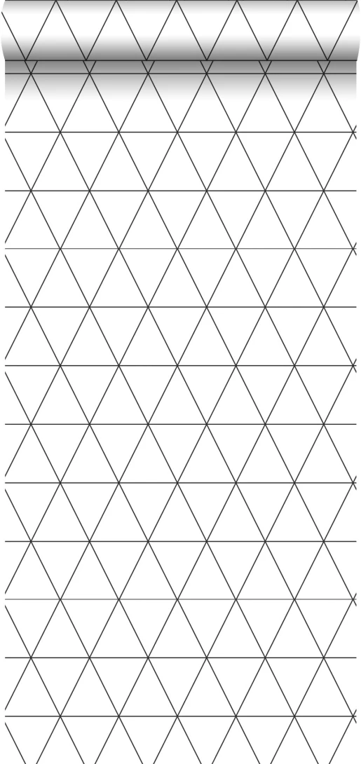 Tapeta Esta Black & White With A Splash Of Gold 139148 Graphical Triangles