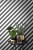 b895d40f276d8665d1ecbe05a96630ed