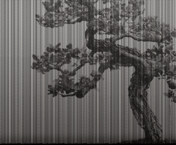 9a50f494588021539b7750382a172c63