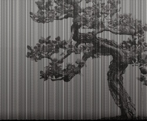 9a50f494588021539b7750382a172c63