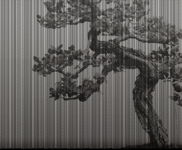9a50f494588021539b7750382a172c63