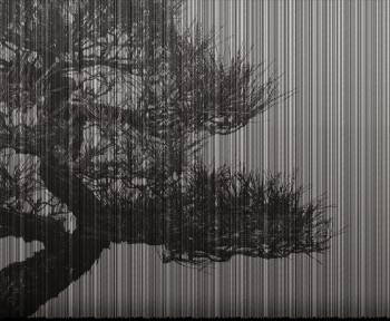 b62e3edbe51cc5c0089b552e86e5b53b