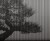 b62e3edbe51cc5c0089b552e86e5b53b