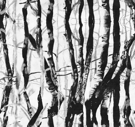 London Art 20037 01 Exclusive 20 Morning Dew - mural w drzewa