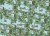 2fc6e9a0355080979a1f7ecf80eea5d1