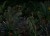 5b861146fcfe1ac7a4e70bdc1088ecf2