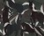 cb2cb32b967642d6220c9eccb2ea475f