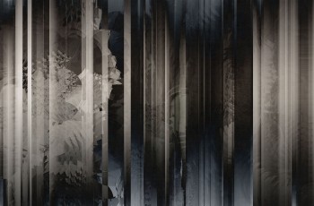 3cb962d98f4c1ecef88732bb3249c1a4