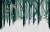 ca36146cad0aa2d89e7d85ac996ea20e