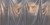62602c13b9ffcb68c510012c1ced2dcb