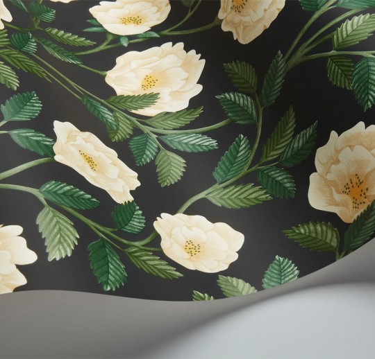 Tapeta Cole & Son Historic Royal Palaces - Great Masters 118/7016 Hampton Roses