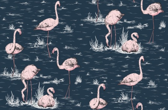 OL / Tapeta Cole & Son Icons 112/11041 Flamingos - 1 rolka 