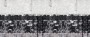 acd7bd4e8a1740826ee56c71ae383be5