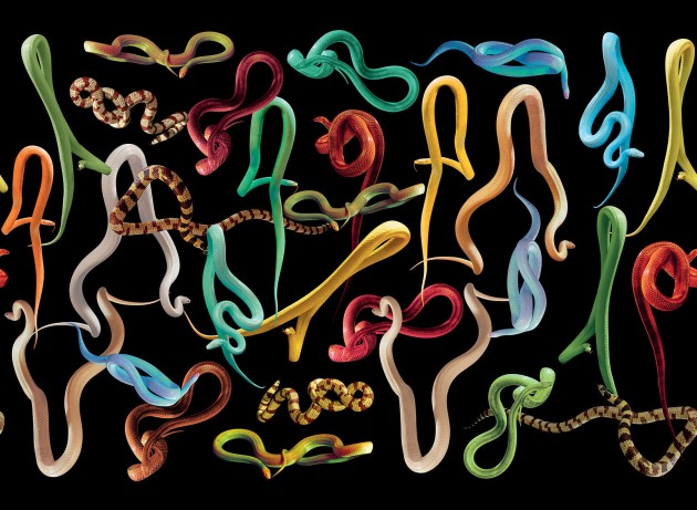 London Art 01TP 01 Toiletpaper Snakes Strom - mural z motywem węży