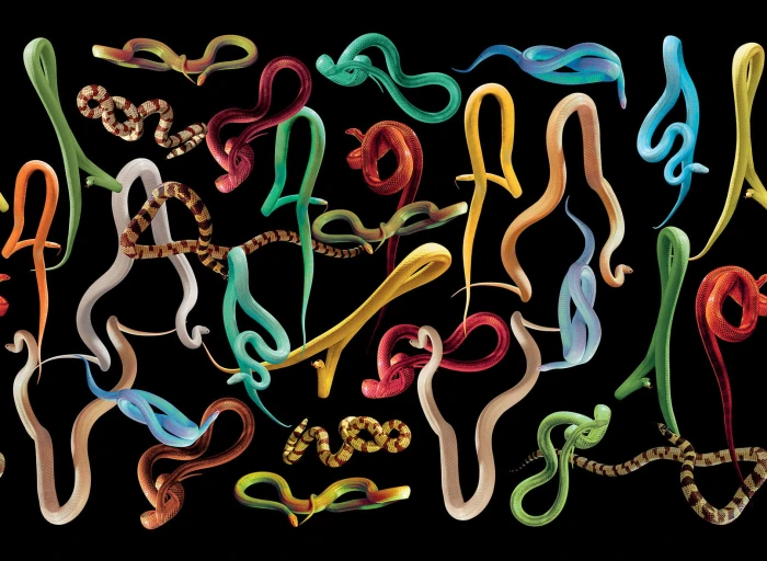 20830c7e5cdf1529c61e1de221eb47e9