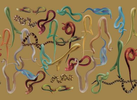 London Art 01TP 02 Toiletpaper Snakes Strom - mural z motywem węży