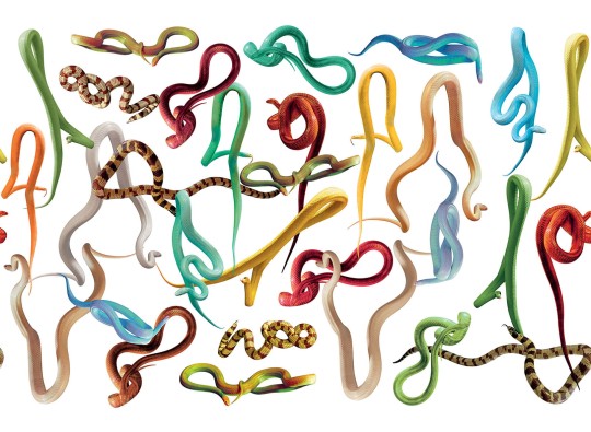 London Art 01TP 03 Toiletpaper Snakes Strom - mural z motywem węży