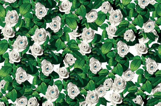 London Art 11TP 02 Toiletpaper Eyes & Roses - mural z motywem róż,oczu i liści