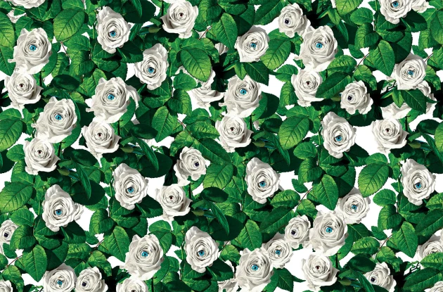 London Art 11TP 02 Toiletpaper Eyes & Roses - mural z motywem róż,oczu i liści