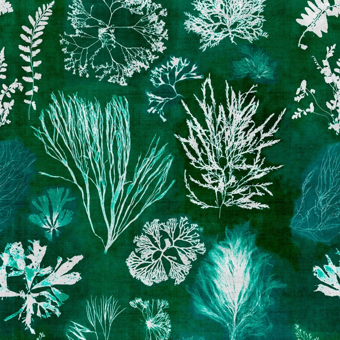 Tapeta Mind the Gap WP20296 ALGAE