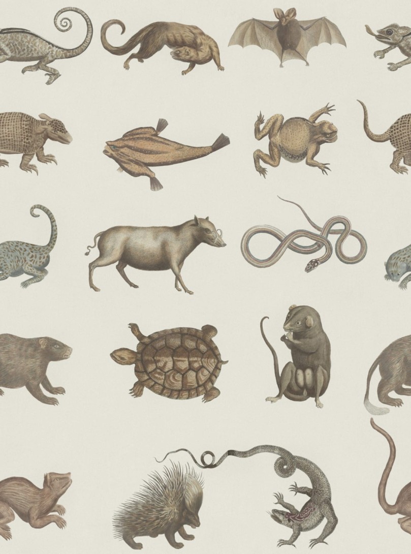 Tapeta Mind the Gap WP20001 ARK OF SEBA