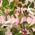 a01bbb1666ab7918a583db0adbfba4e6