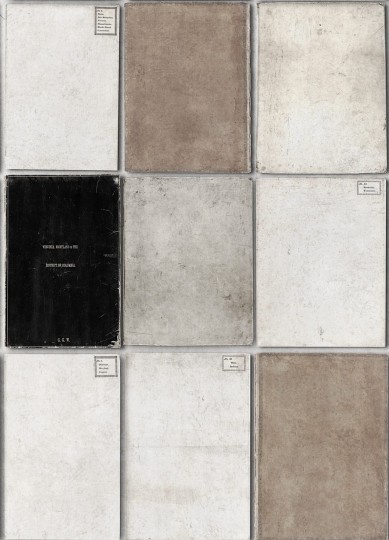 Tapeta Mind the Gap WP20094 BOOK COVERS