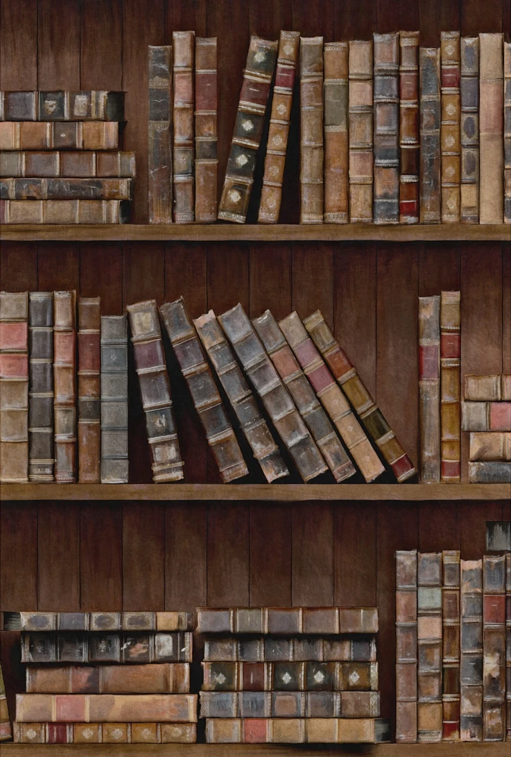 Tapeta Mind the Gap WP20112 BOOK SHELVES