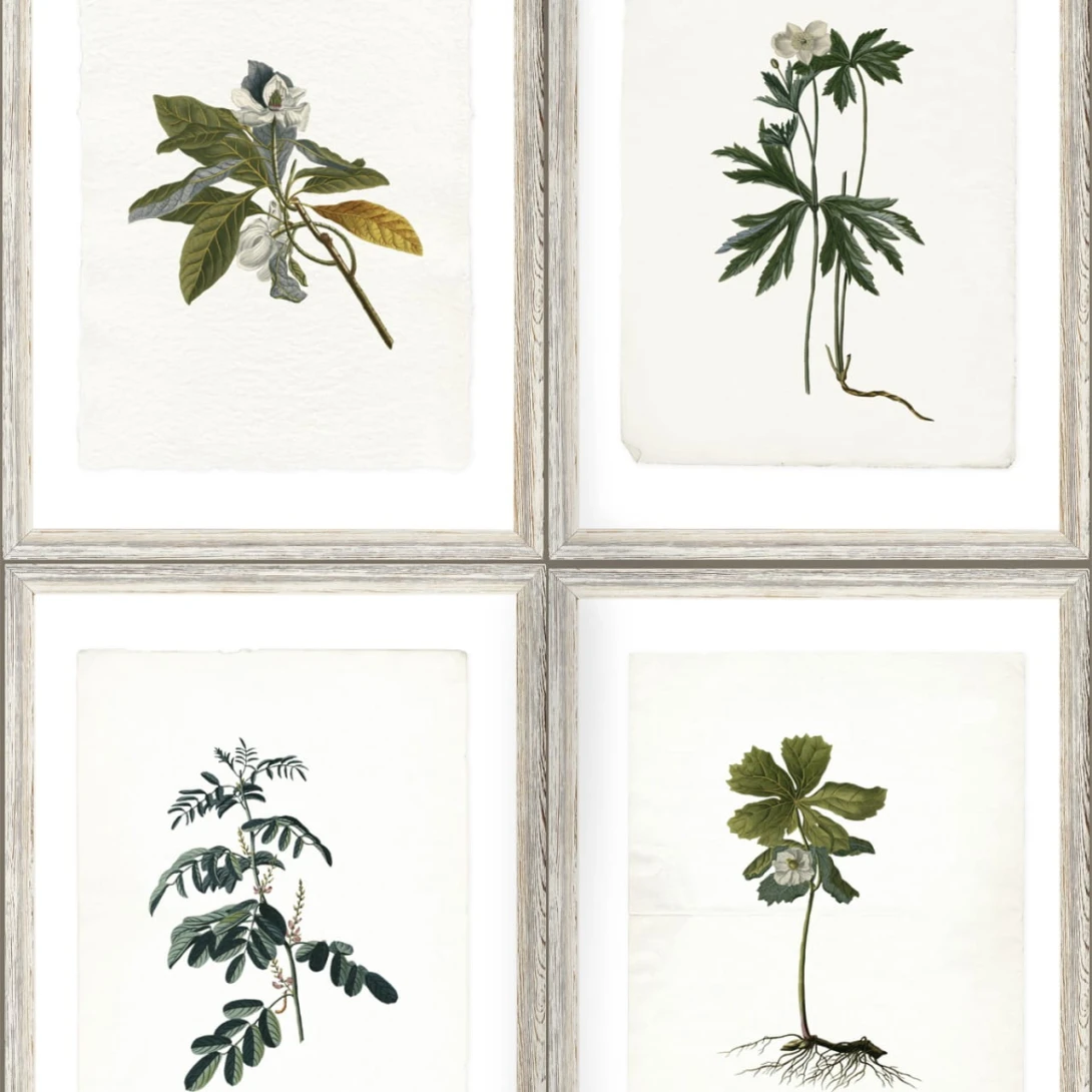 Tapeta Mind the Gap WP20153 BOTANY
