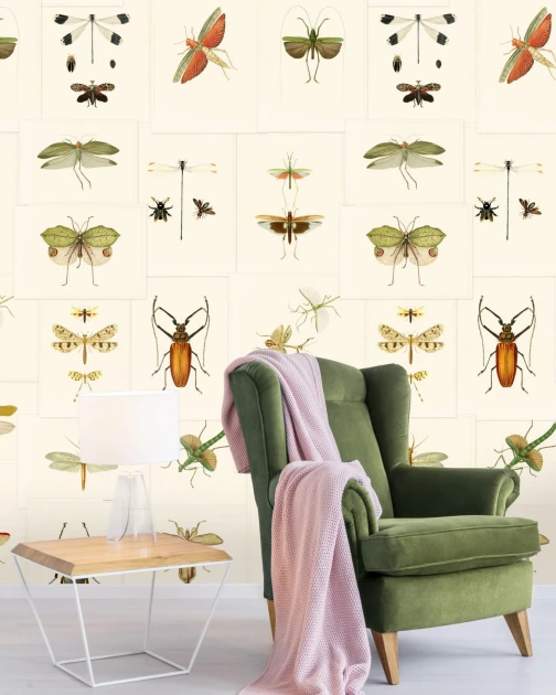 Tapeta Mind the Gap WP20233 ENTOMOLOGY