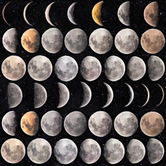 Tapeta Mind the Gap WP20066 MOON PHASES